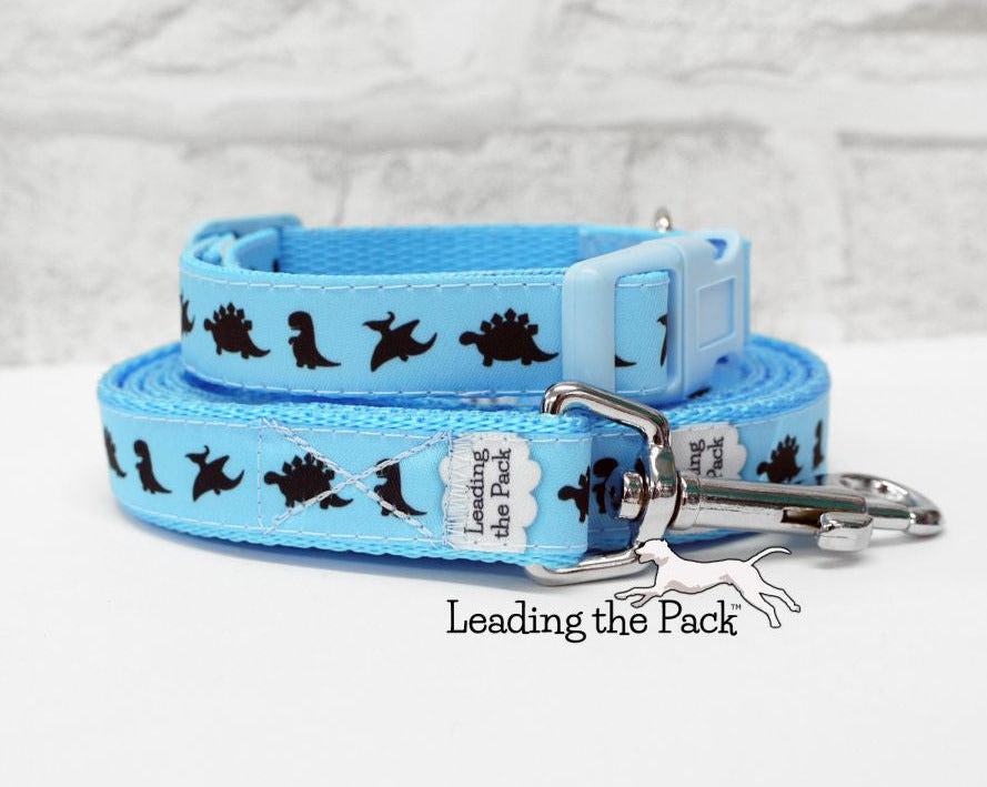 Dinosaur parade 15mm dog collars & leads