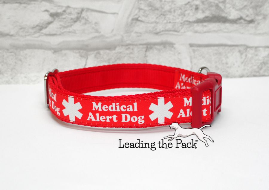 Medical alert dog collar hotsell