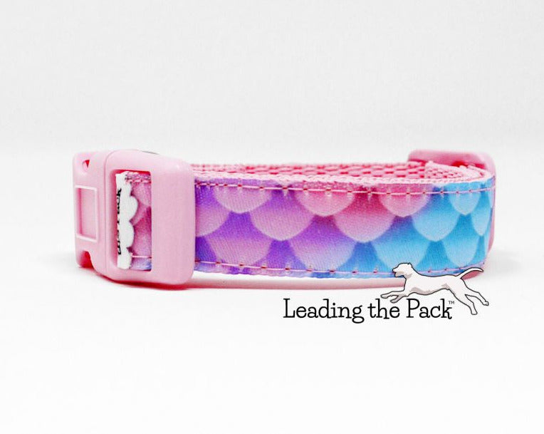Blue-pink scales 15mm dog collars & leads