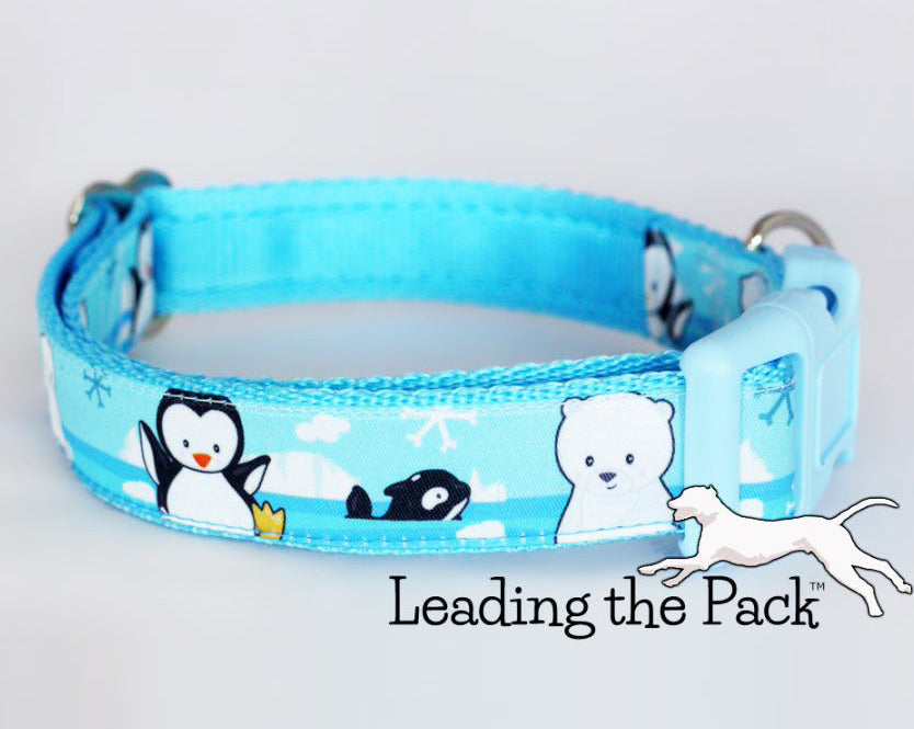 Arctic friends 20/25mm dog collars & leads