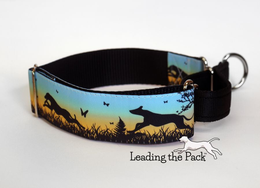 Sunset greyhounds 40mm dog collars & leads