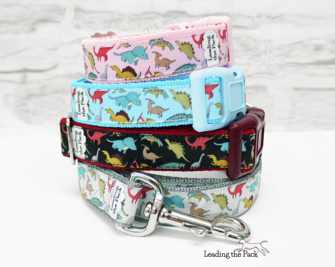 Dinosaurs 20/25mm dog collars & leads