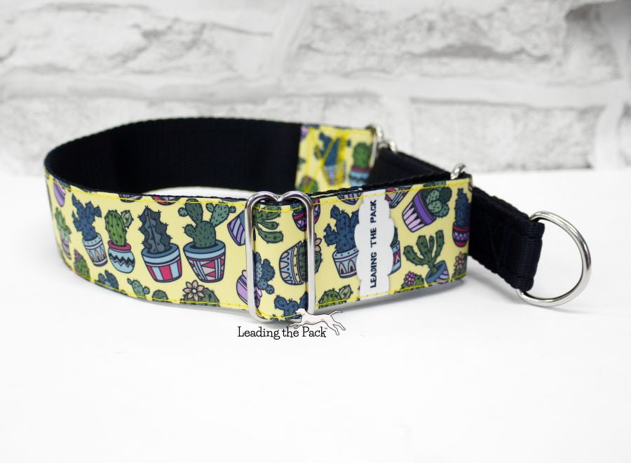 Yellow cacti 40mm dog collars & leads
