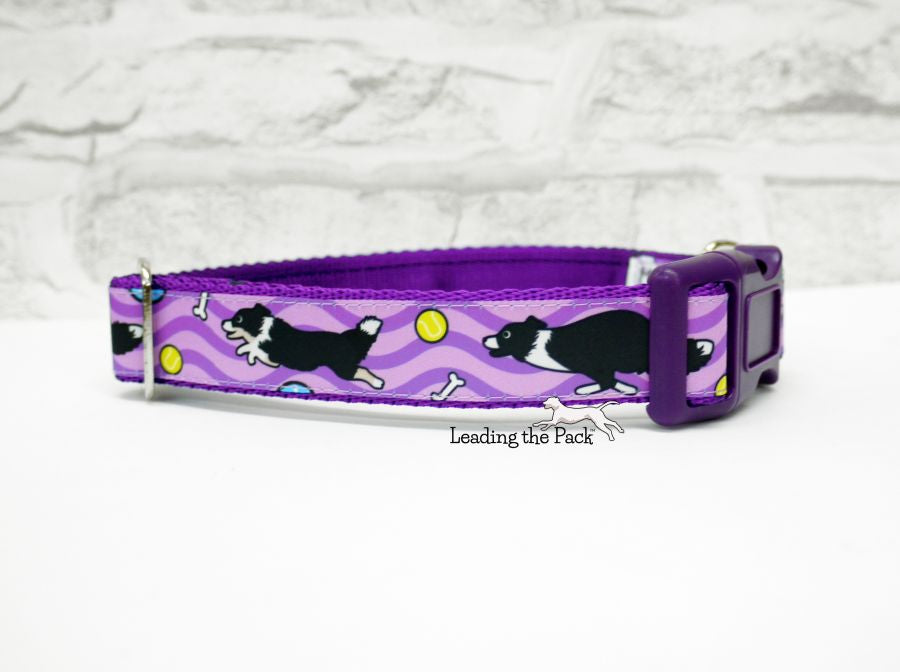 Running collies 20/25mm dog collars & leads