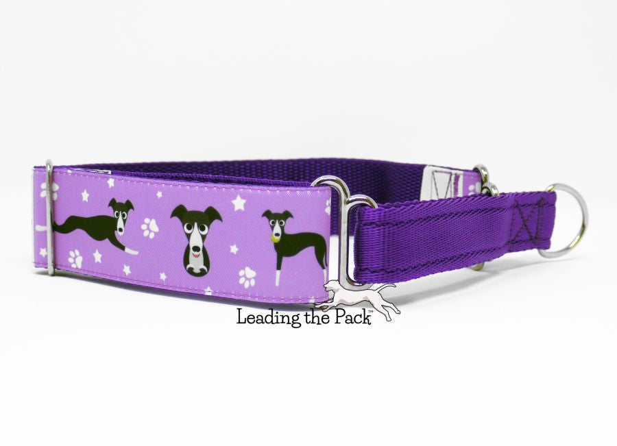 Lurchers 40mm dog collars & leads