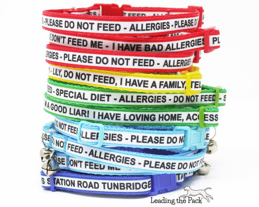Personalised stripe custom text collars