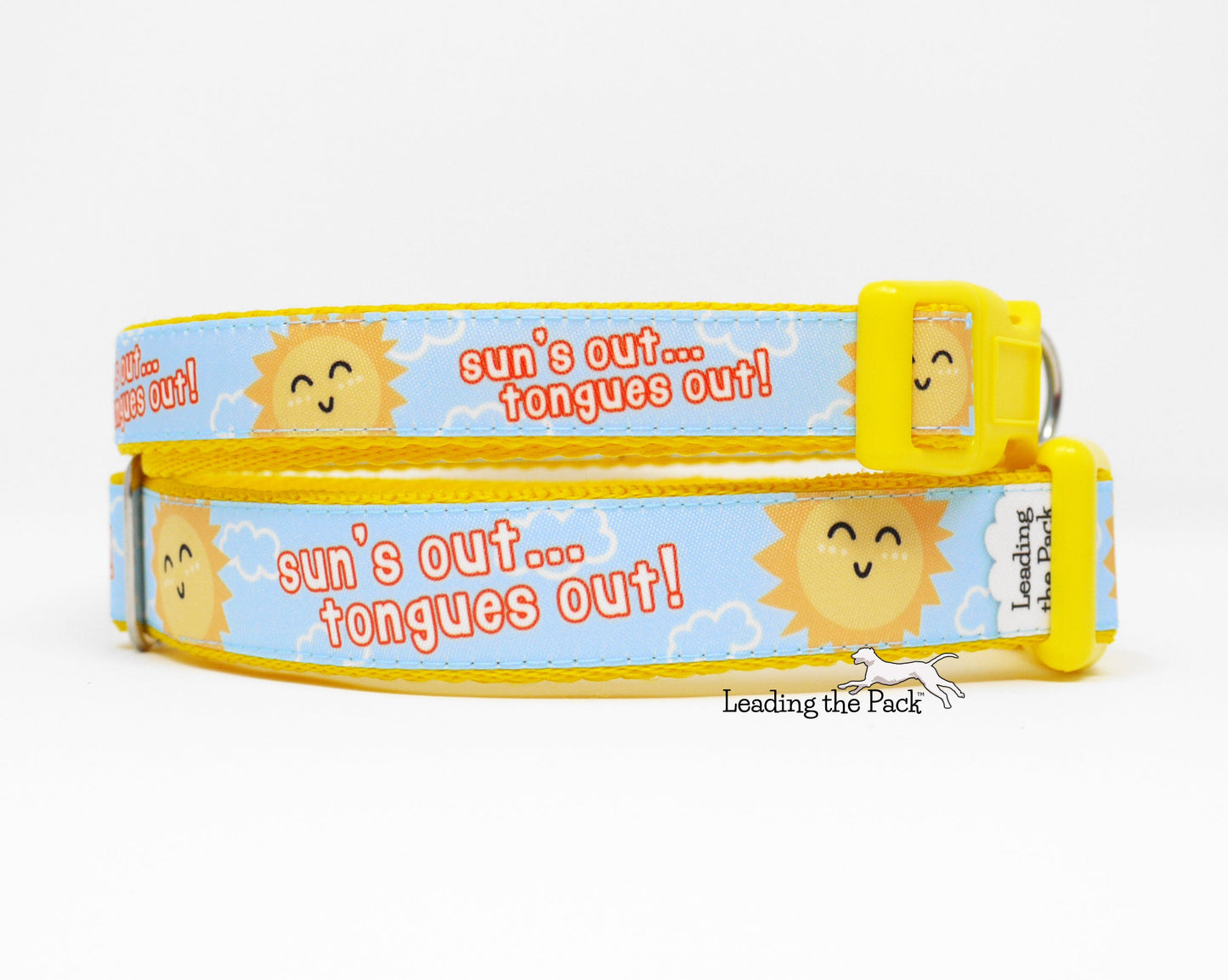 Sun's out 20/25mm dog collars & leads