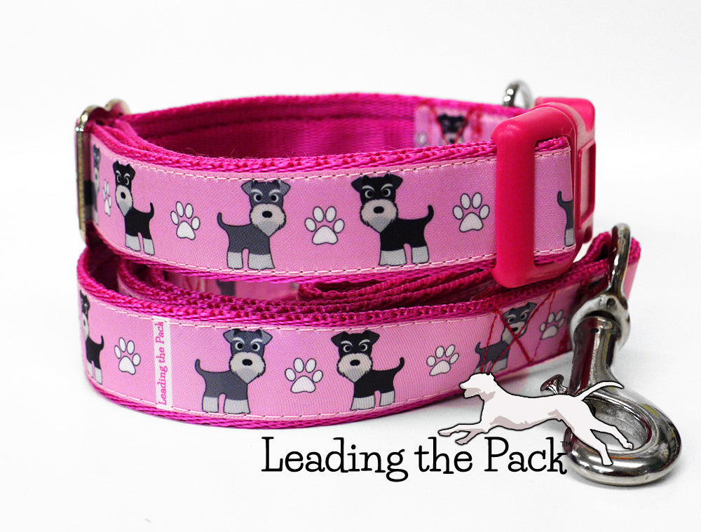 Schnauzers 20/25mm dog collars & leads