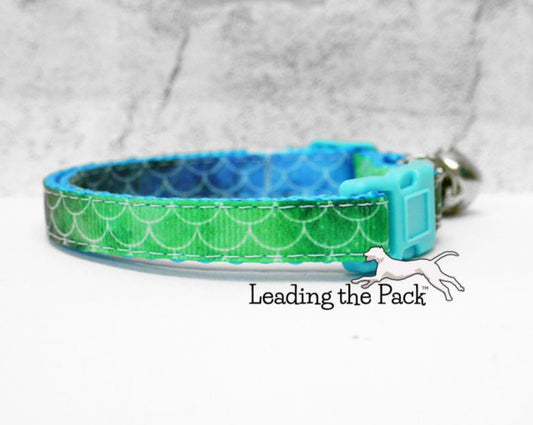 Green-blue scales 10mm collars and leads