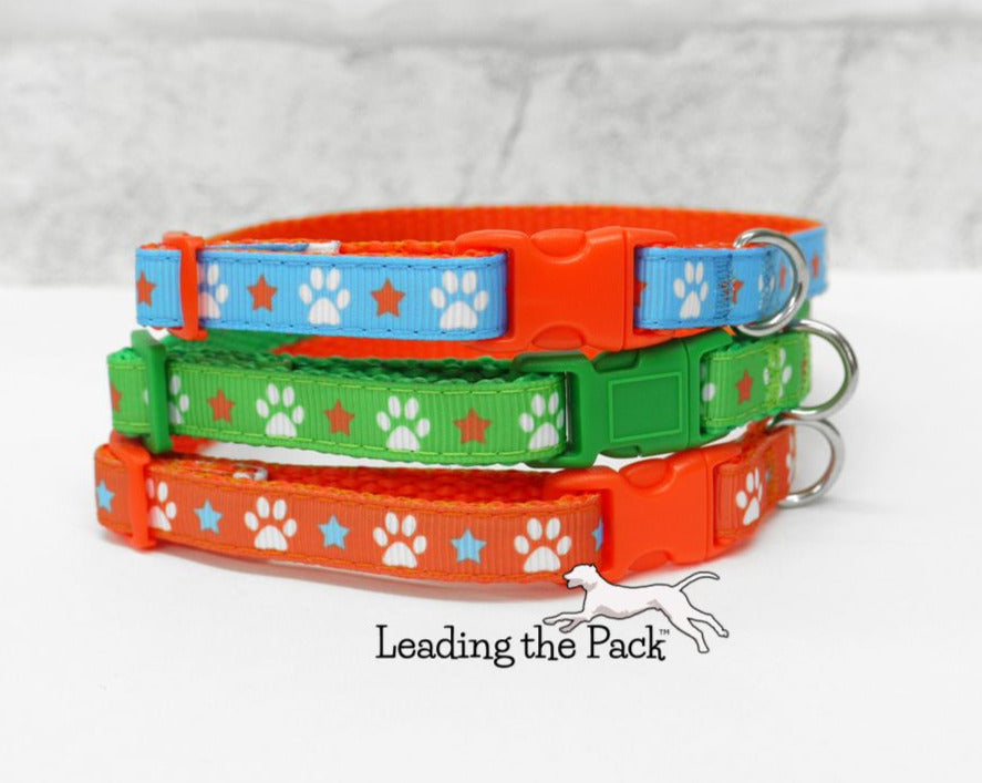 Paw prints 10mm collars and leads