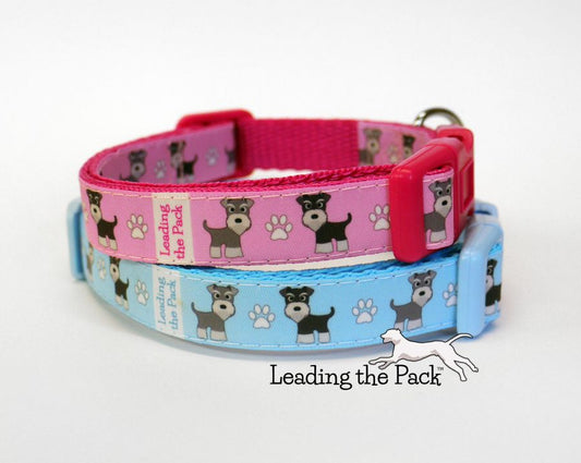 Schnauzer 15mm dog collars & leads