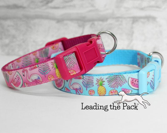 Tropical flamingoes 15mm dog collars & leads