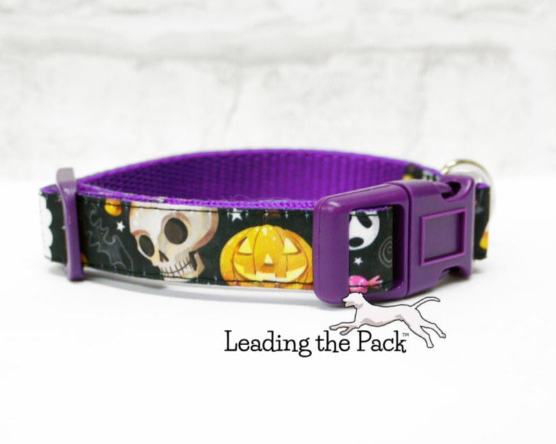 Watercolour halloween 15mm dog collars & leads