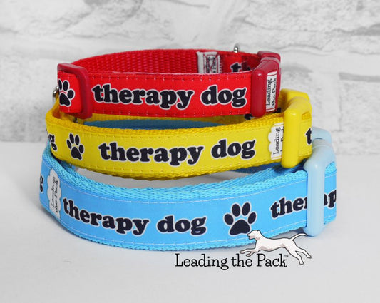 Therapy dog 15mm dog collars & leads