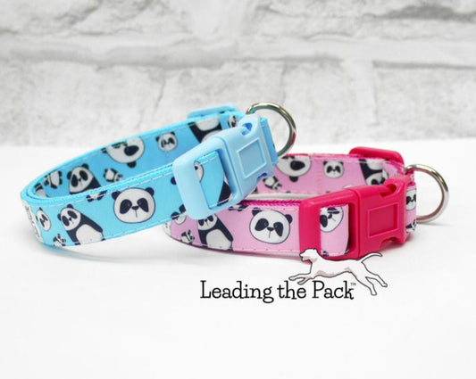 Pandas 15mm dog collars & leads