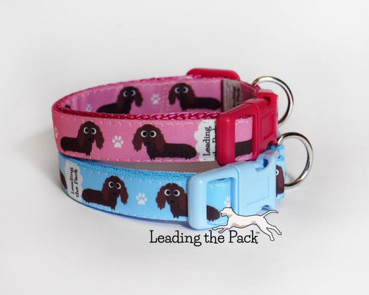 Dachshund 15mm dog collars & leads