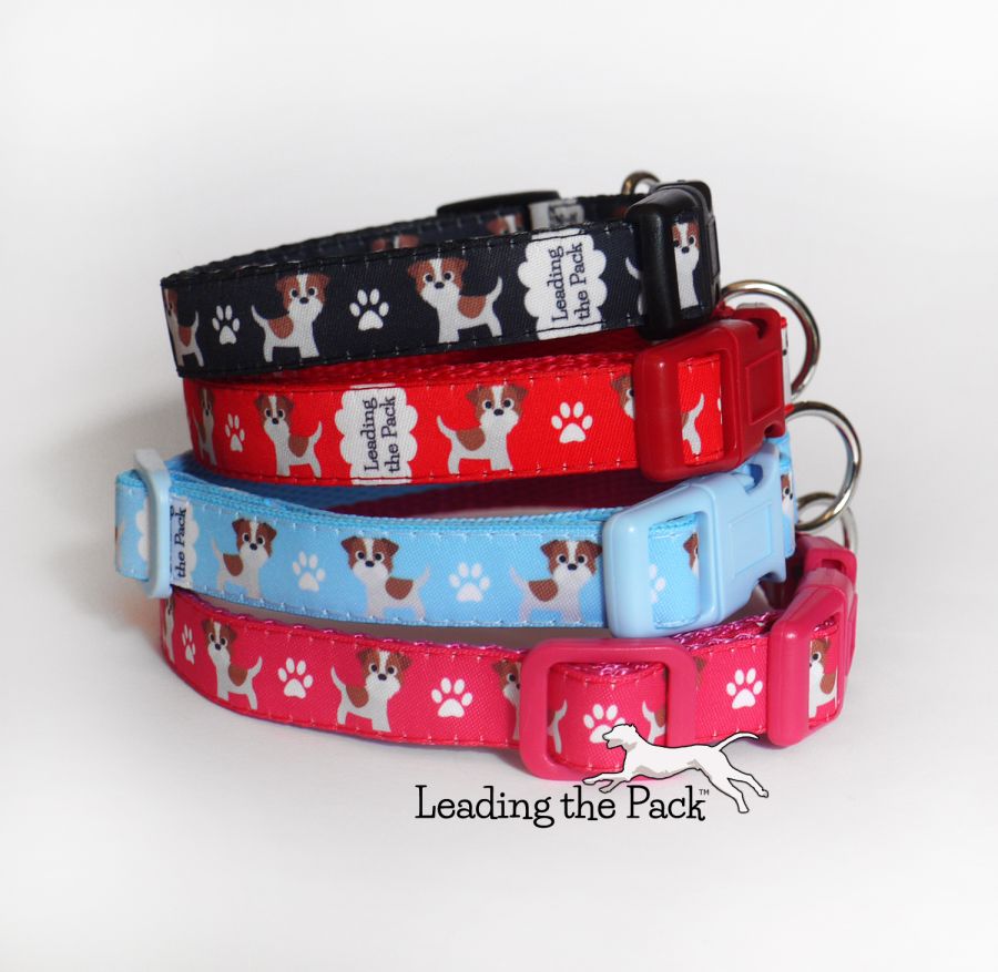 Jack russell terrier 15mm dog collars & leads