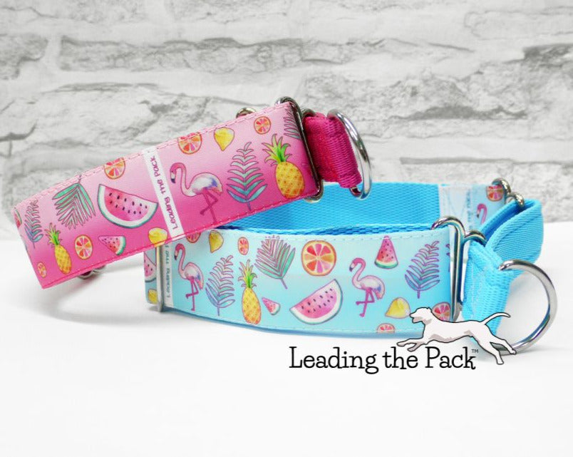 Tropical flamingoes 40mm dog collars & leads