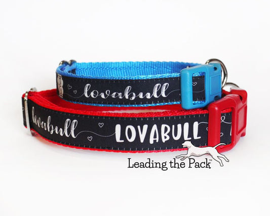 Lovabull 20/25mm dog collars & leads