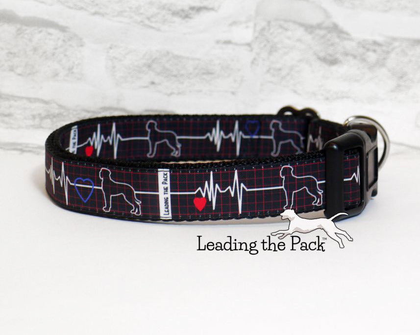 Great dane heartbeat 20/25mm dog collars & leads