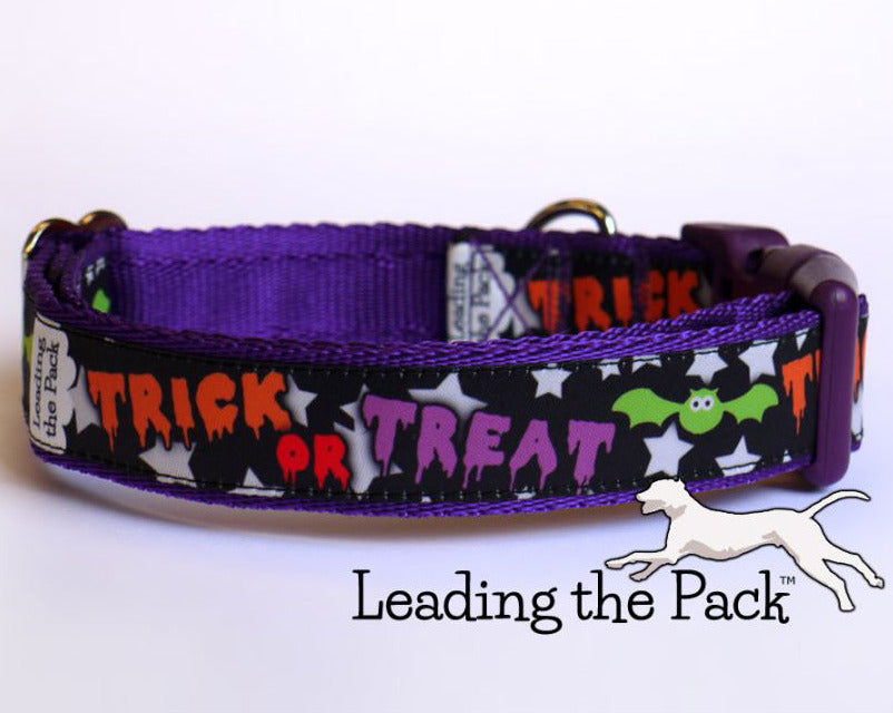 Trick or treat 20/25mm dog collars & leads