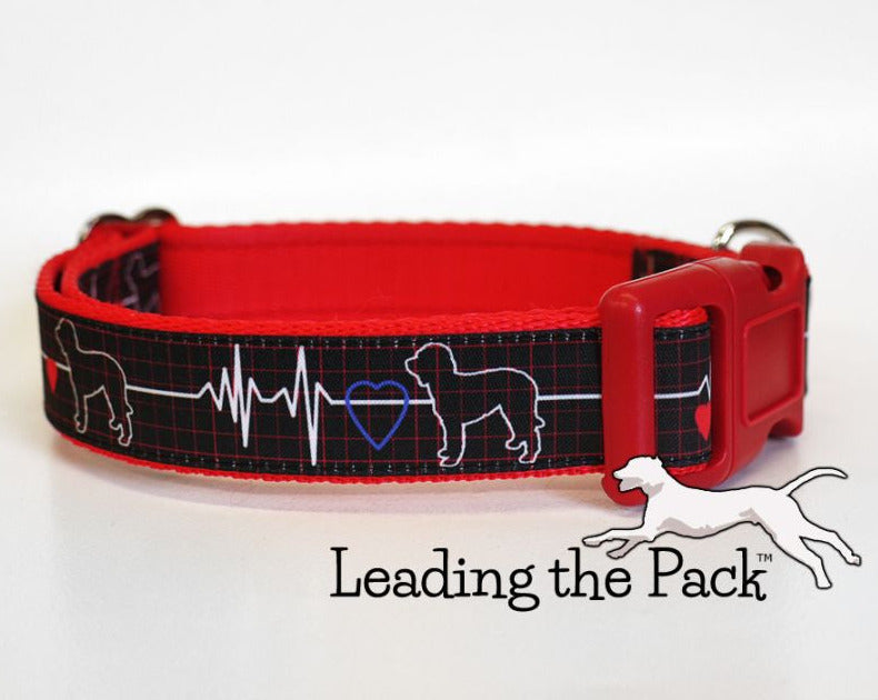 Doodle heartbeat 20/25mm dog collars & leads