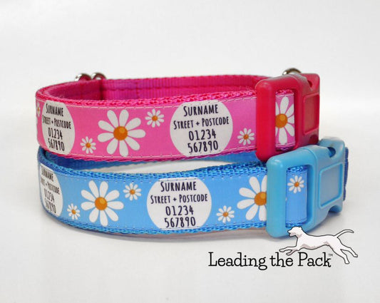 Personalised contact daisy 20/25mm dog collars & leads