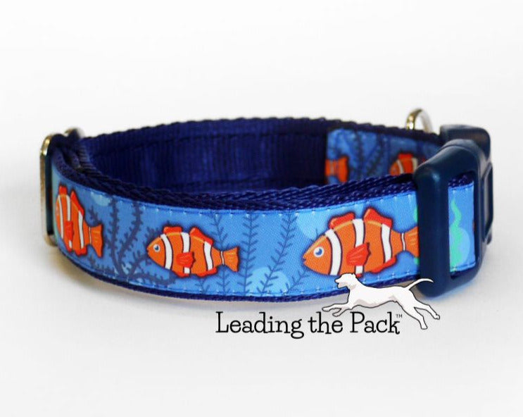 Here fishy fishy 20/25mm dog collars & leads