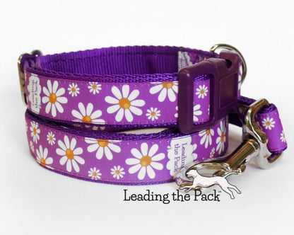 Daisies 20/25mm dog collars & leads