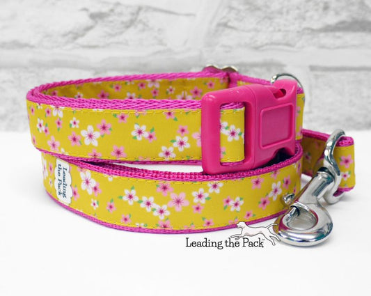 Yellow cherry blossom 20/25mm dog collars & leads