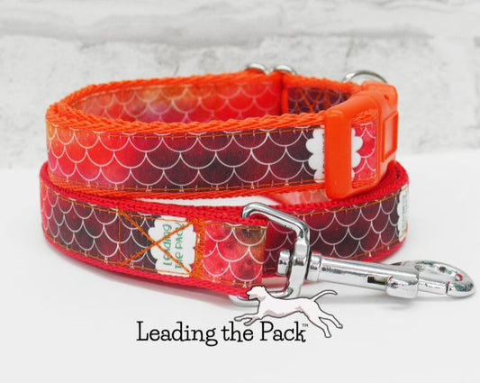 Orange scales 20/25mm dog collars & leads