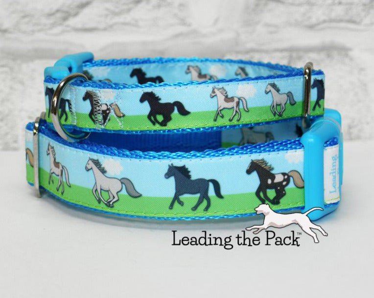 Horses 20/25mm dog collars & leads