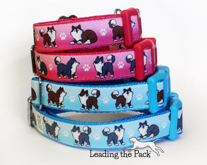 Huskies 20/25mm dog collars & leads