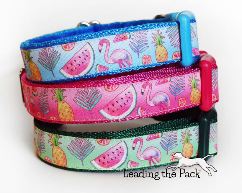 Tropical 20/25mm dog collars & leads