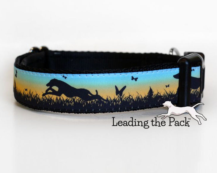 Sunset greyhound 20/25mm dog collars & leads