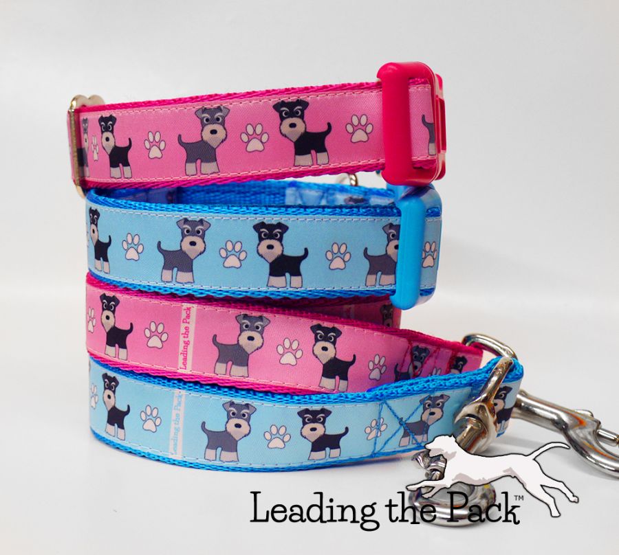 Schnauzers 20/25mm dog collars & leads