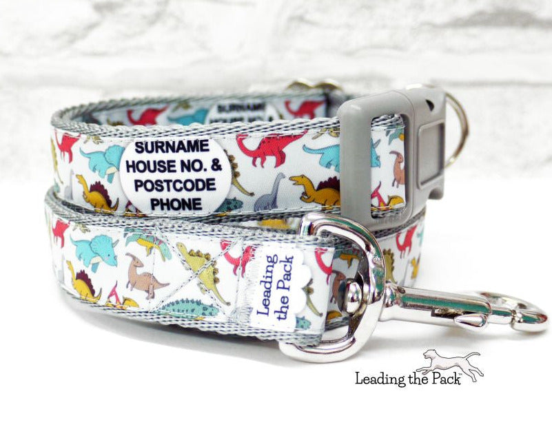 Personalised contact dinosaurs 20/25mm dog collars & leads