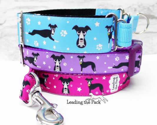 Lurchers 40mm dog collars & leads