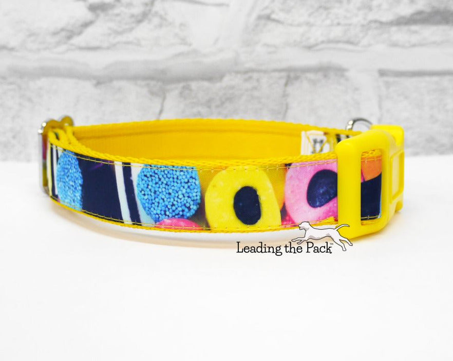 Allsorts 20/25mm dog collars & leads