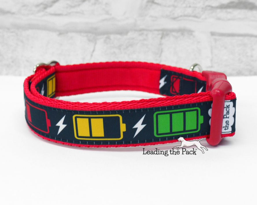 Recharge 20/25mm dog collars & leads