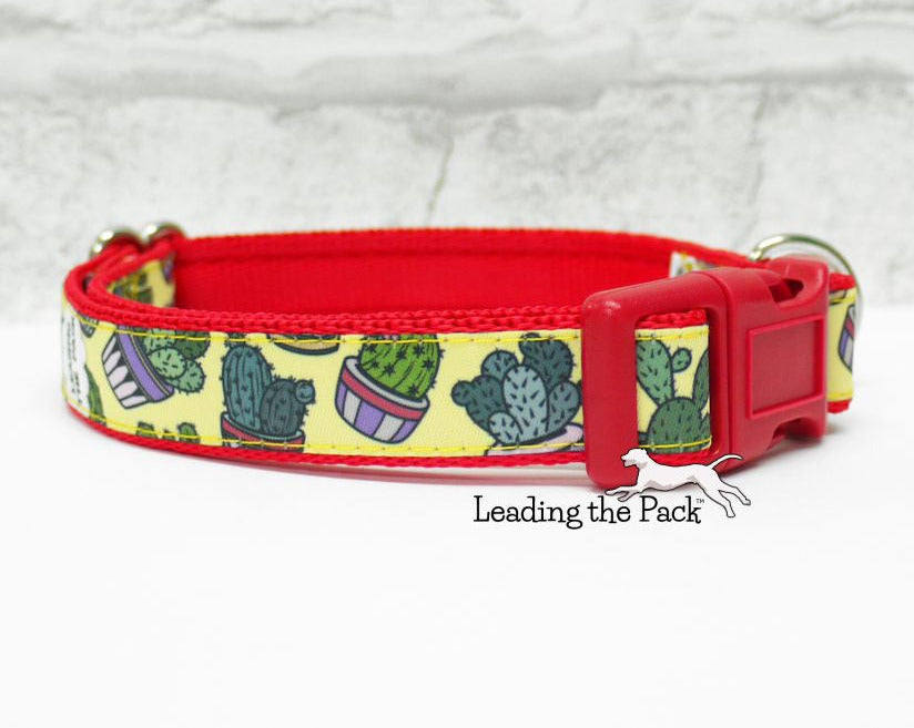 Yellow cacti 20/25mm dog collars & leads