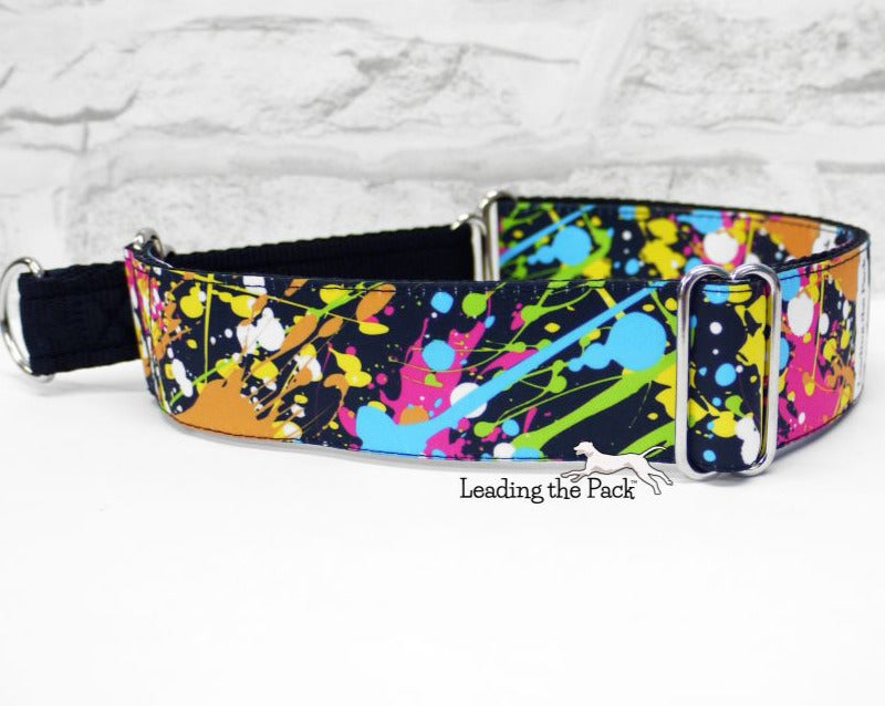 Paint splatter 40mm dog collars & leads