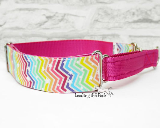 Rainbow chevrons 40mm dog collars & leads