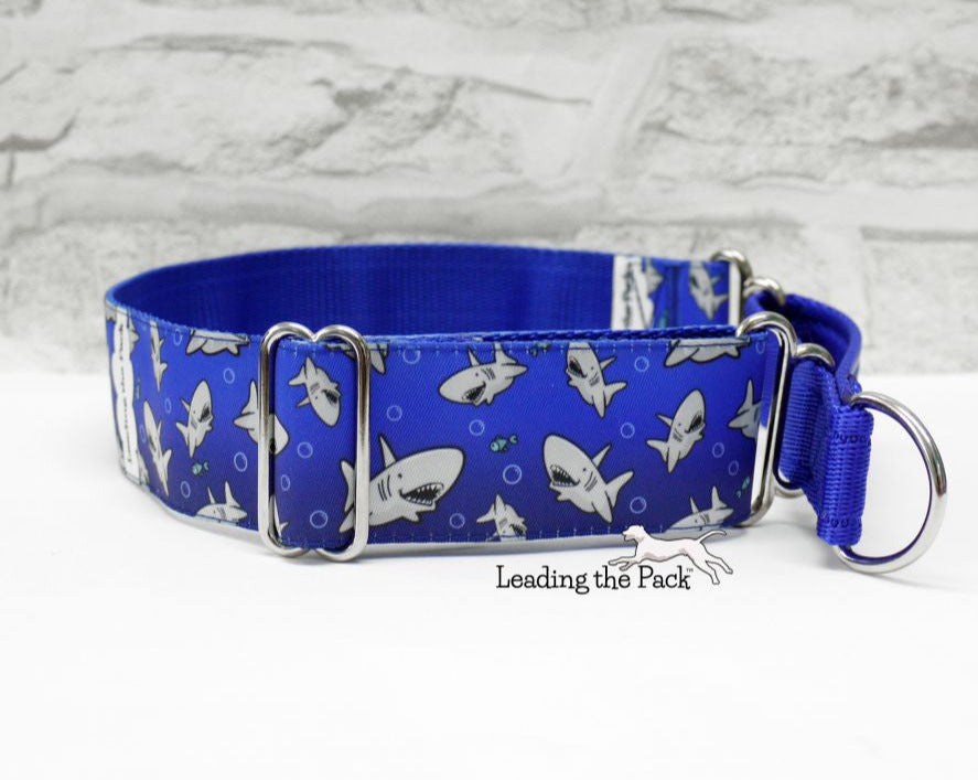 Shark infested waters 40mm dog collars & leads