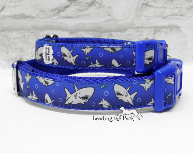 Shark infested waters 20/25mm dog collars & leads