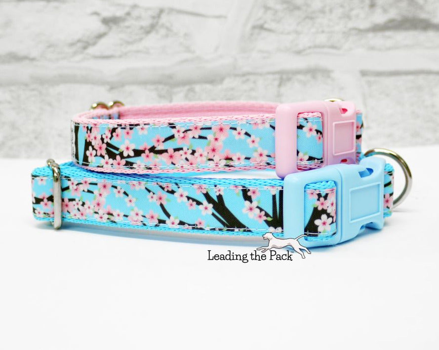 Cherry blossom 20/25mm dog collars & leads