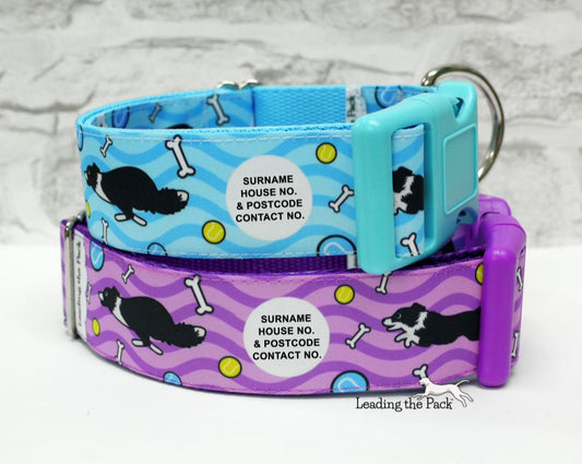 Personalised collies 40mm dog collars & leads