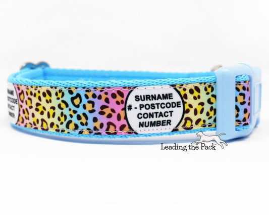 Personalised contact rainbow leopard print 20/25mm dog collars & leads