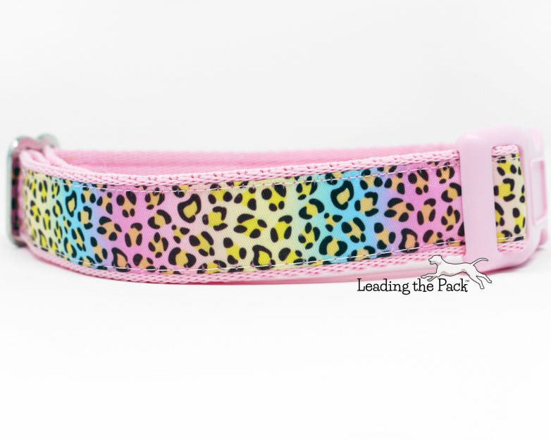 Rainbow leopard 20/25mm dog collars & leads