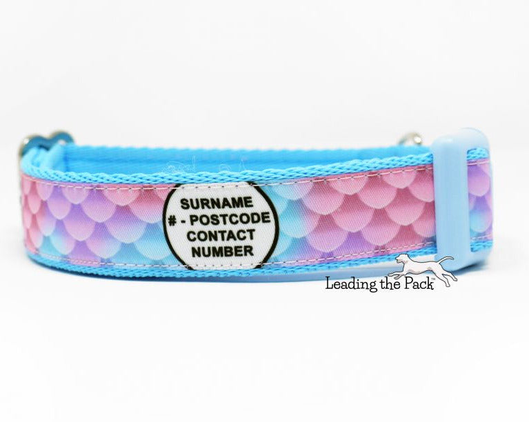 Personalised contact blue-pink scales 20/25mm dog collars & leads